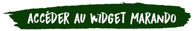 Accéder au widget MaRando