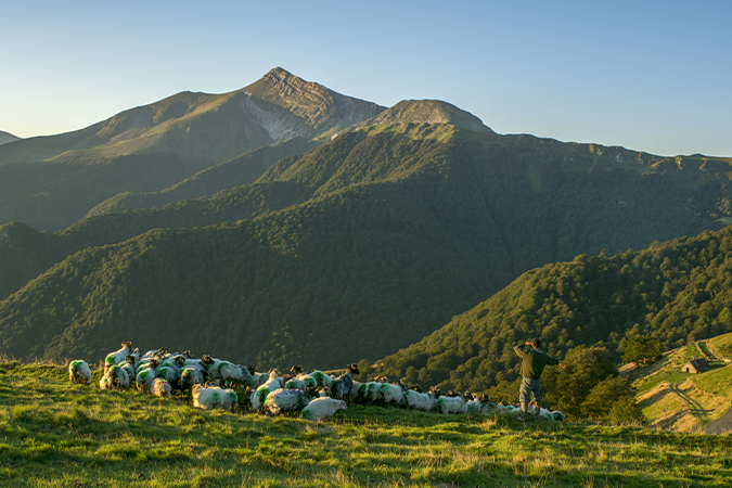 HRP-pic-Orhy-MICHAUX-Stéphane-Hemisfr