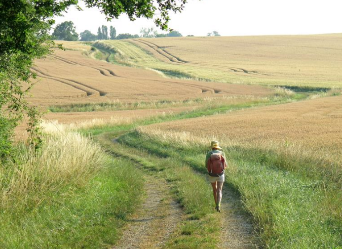 La marche à travers l’histoire