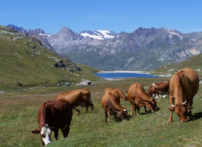 « Habiter en montagne après 2020 « « Habiter en montagne après 2020 «