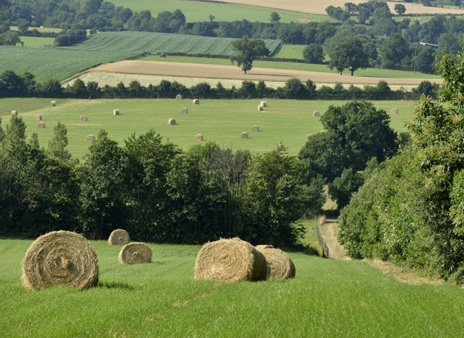 « Du Poitou à l’Océan » : inauguration du nouveau GR® 364 en itinérance « Du Poitou à l’Océan » : inauguration du nouveau GR® 364 en itinérance