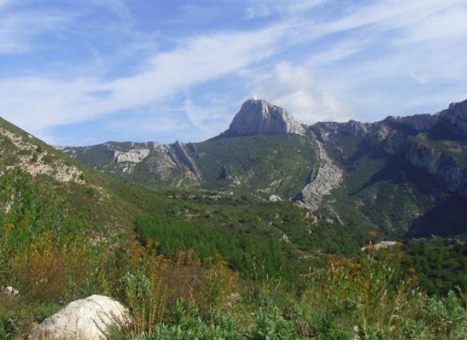 Fermeture de sentiers en forêt domaniale de la Sainte-Baume (Var)