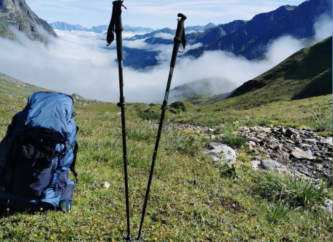 Batons de marche pour randonnée et trekking