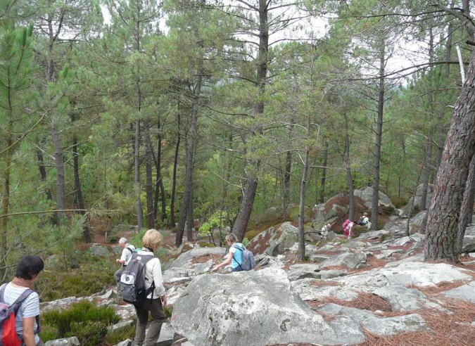 Fontainebleau : les sentiers interdits aux VTT 