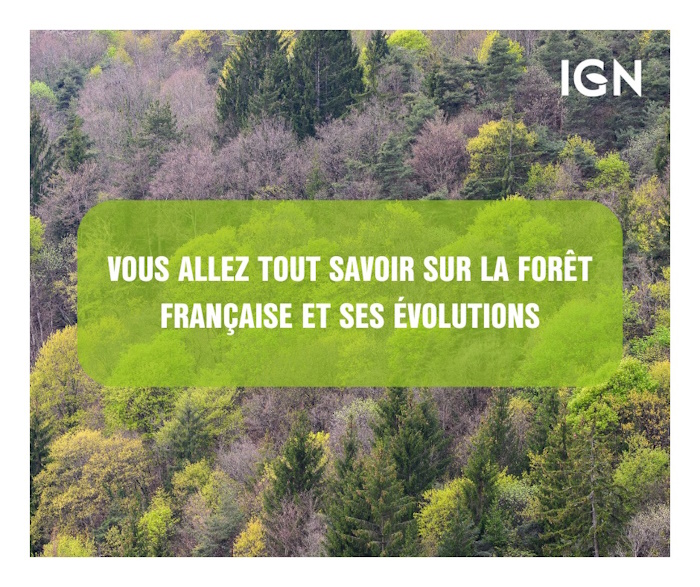 Connaissez-vous les forêts françaises ? Connaissez-vous les forêts françaises ?