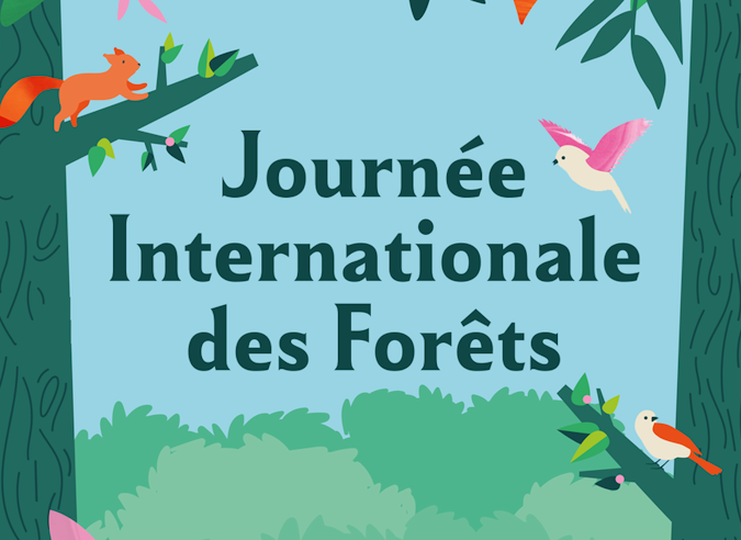  21 mars: Journée internationale des forêts 
