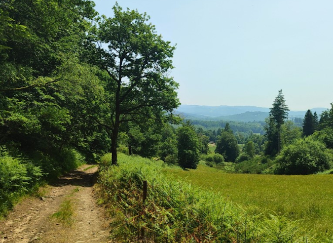 Une itinérance au cœur du Limousin : le GR® de Pays Monts et Barrages 