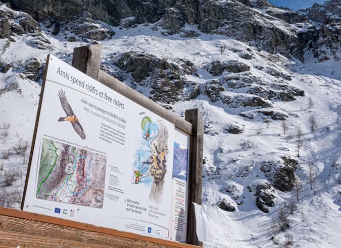 Le Parc national de la Vanoise protège le gypaète barbu 