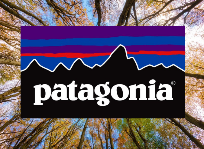 Patagonia: une entreprise qui finance la protection de l’environnement 