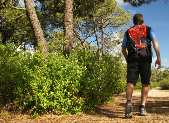  Les éco-gestes de l’été : prévention des incendies dans les parcs nationaux