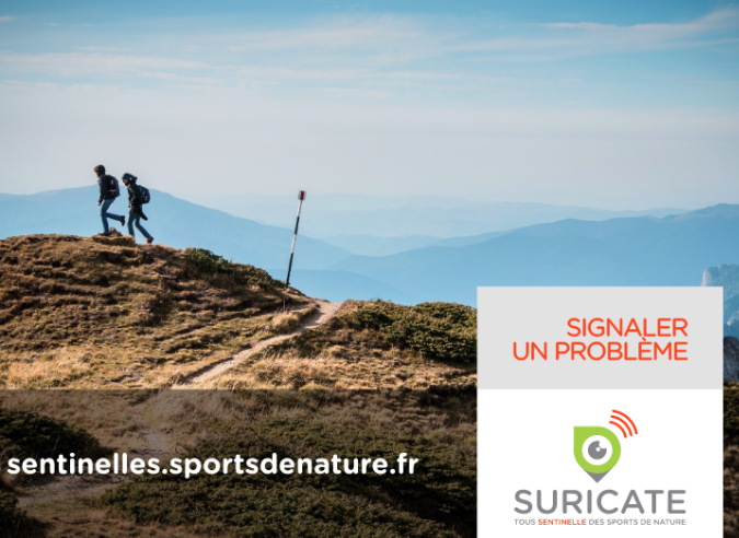 Bilan des  signalements SURICATE en 2020