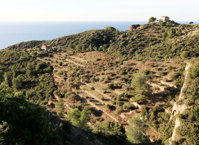 Restauration d’un site dégradé par une fréquentation anarchique : Sainte-Frétouse à la Ciotat
