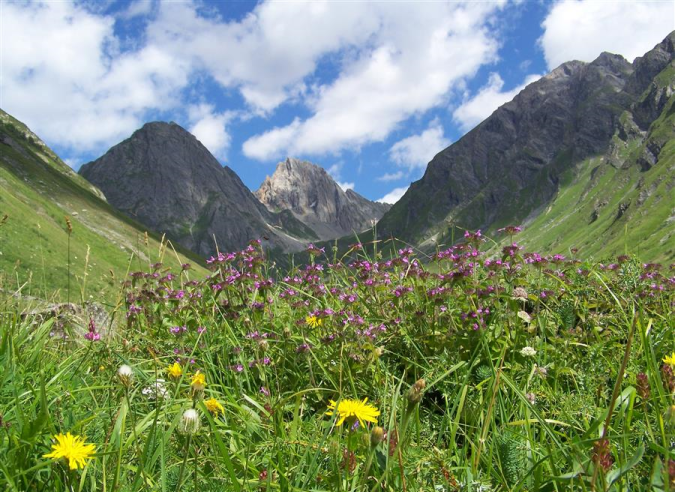  Cinq sommets des Alpes de plus de 3000m accessibles en randonnée