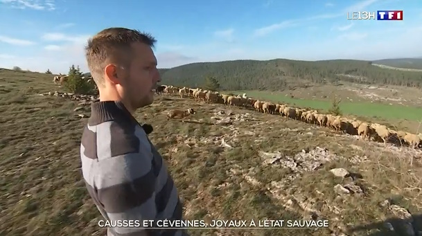 reportage causses
