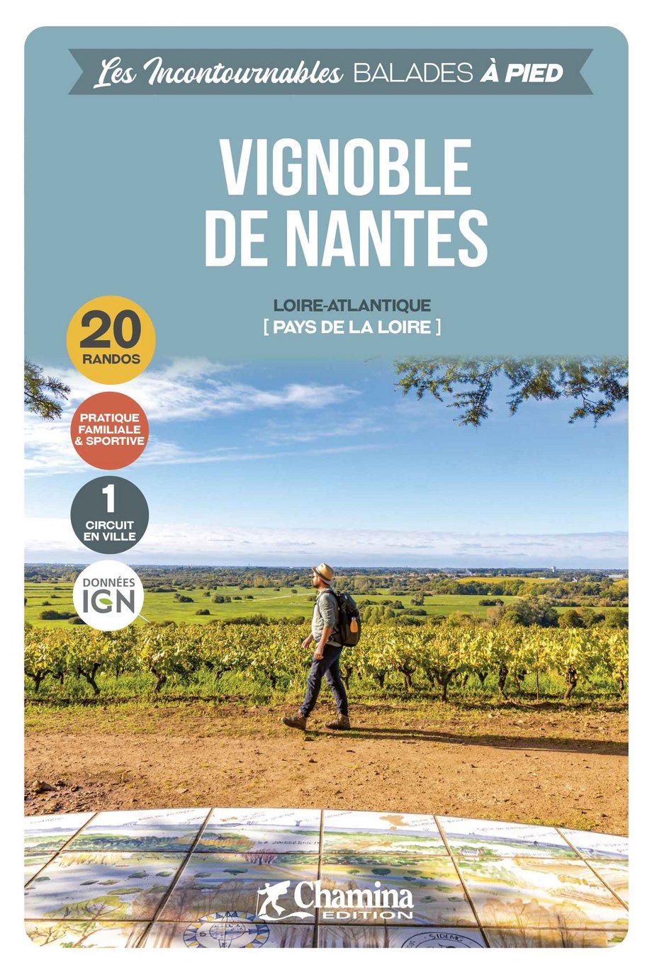 topo vignobles nantais