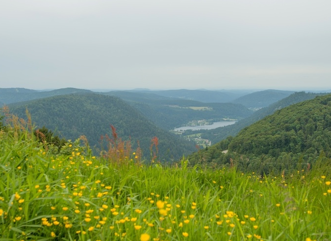 Vosges du Nord : des cabanes pour randonneurs sur le GR® 53 