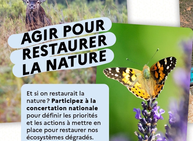 Comment restaurer la nature ? Quelles sont vos propositions ?