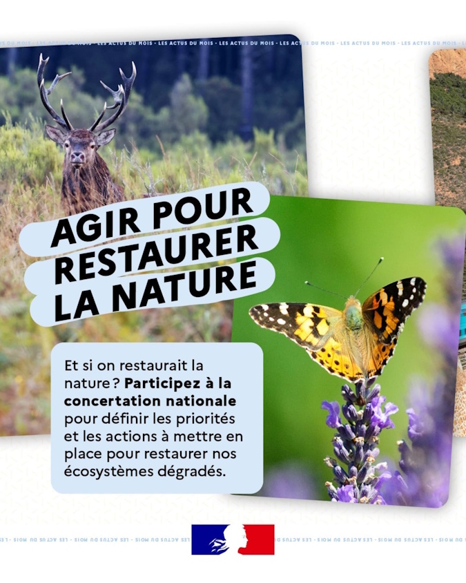 Comment restaurer la nature ? Quelles sont vos propositions ? 