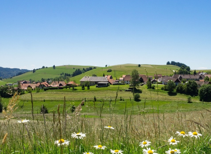 Randonnée et nature au XX° siècle en Allemagne 