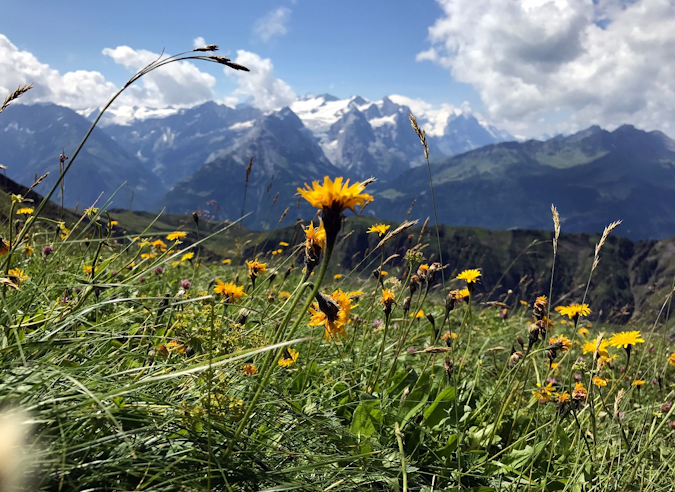 Quelle montagne en 2030 ? Les résultats de l’enquête de Mountain Wilderness France