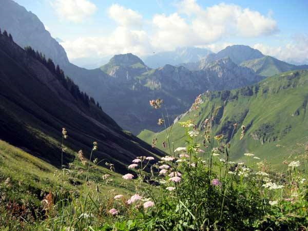 Un malade de Parkinson sur les sentiers des Alpes 