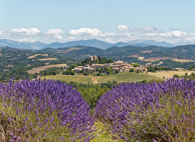 Randonner avec les Chemins de fer de Provence 