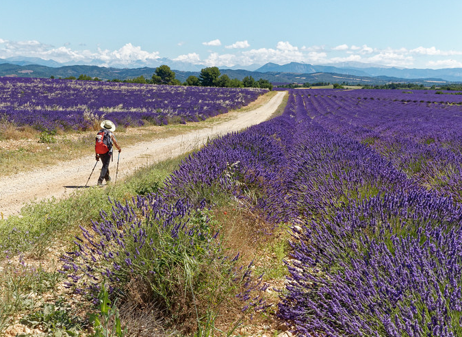 La randonnée : une pratique en plein essor dans le Sud-Est