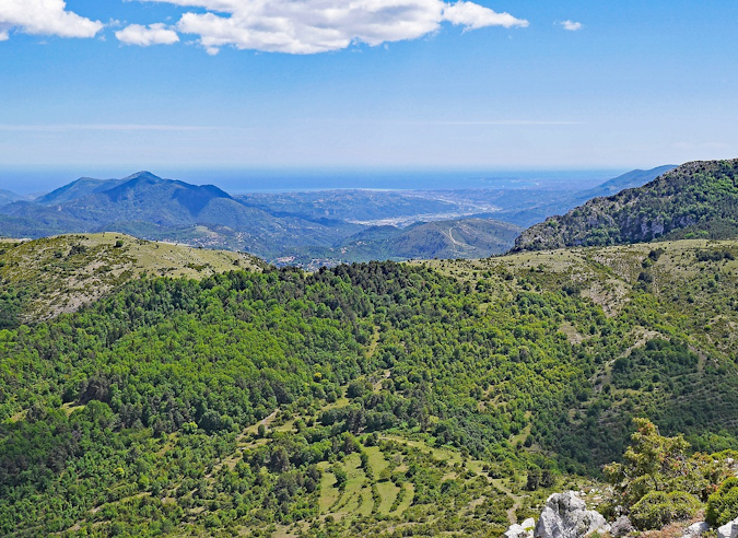 Une forêt interdite au public dans les Alpes maritimes 