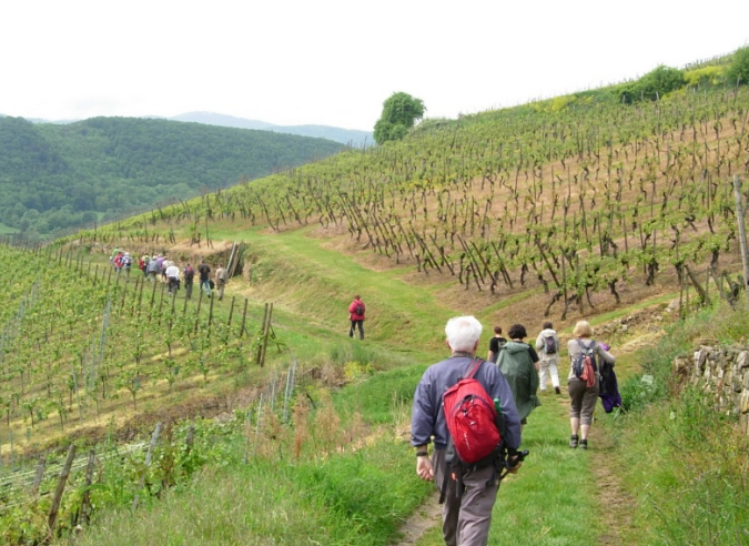 Les fermes-auberges d’Alsace ont 50 ans