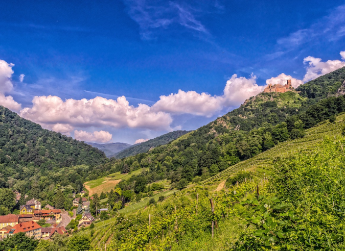 Un territoire de randonnée : Les Vosges, vues d’Alsace