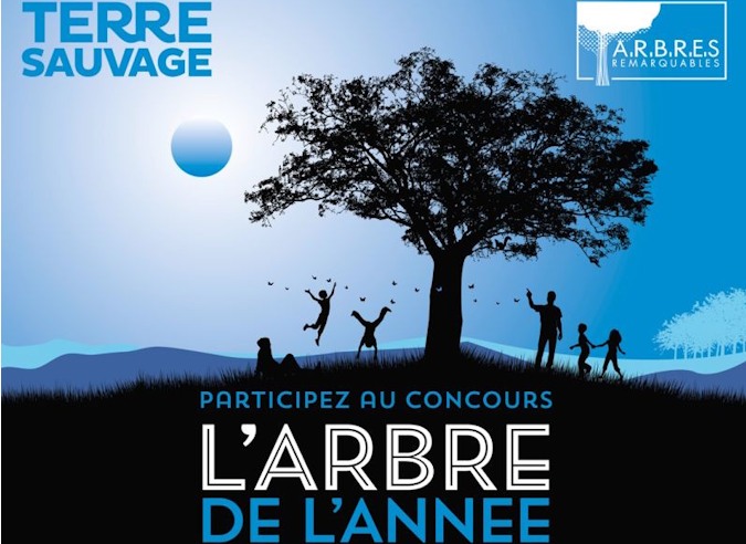 Concours L'Arbre de l'Année 2026 : candidatez sans tarder !