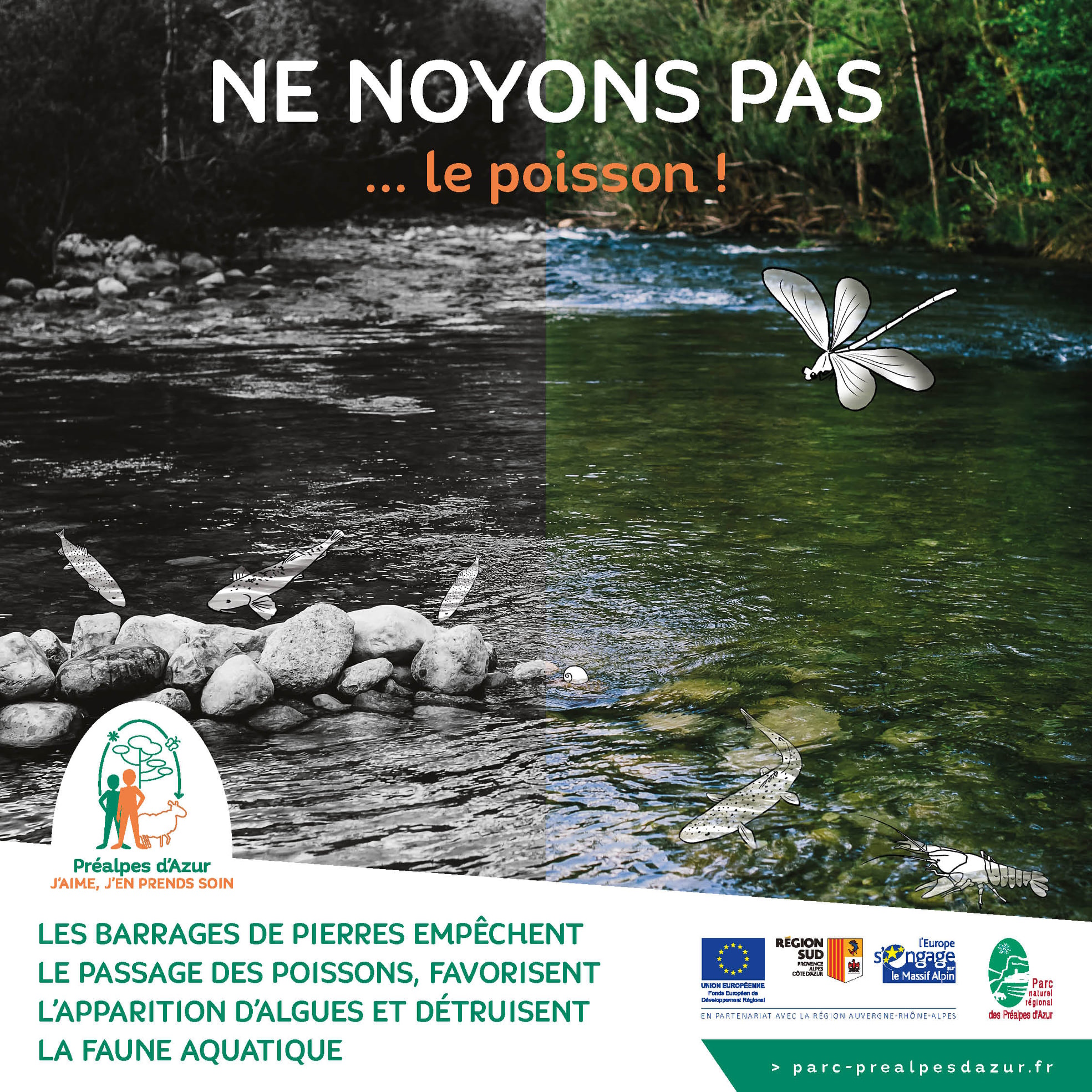 ruisseau