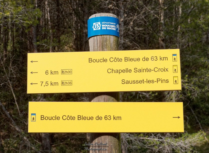 cote bleue