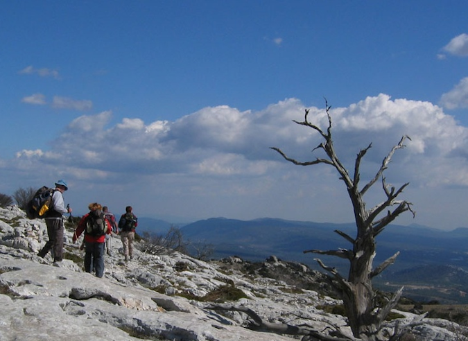 Sainte Baume : réhabilitation du chemin des Roys
