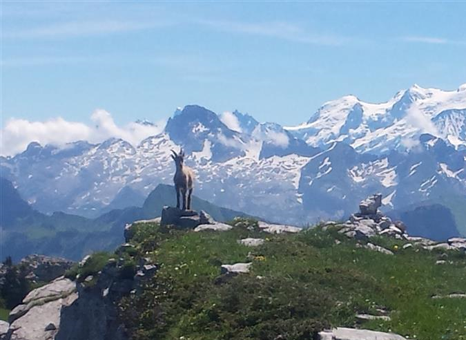 En Haute Savoie, le refuge de l'Envers des Aiguilles recherche un gardien