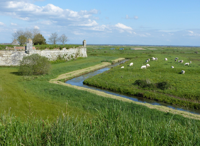Le sentier de Grande Randonnée GR® 4 en Charente Maritime