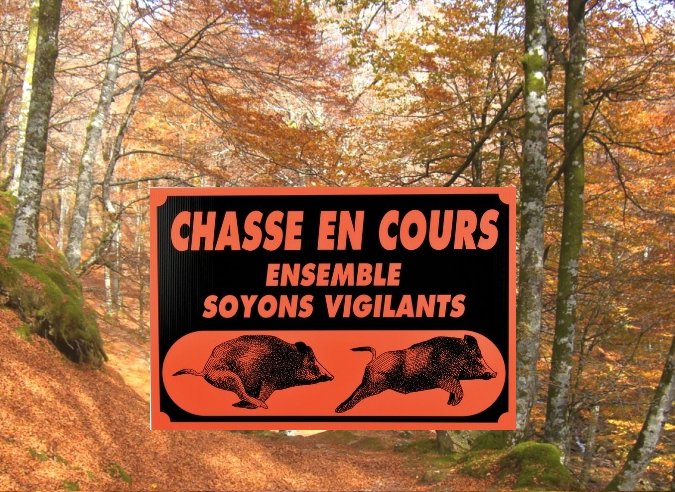 Une application localise les chasseurs en Isère