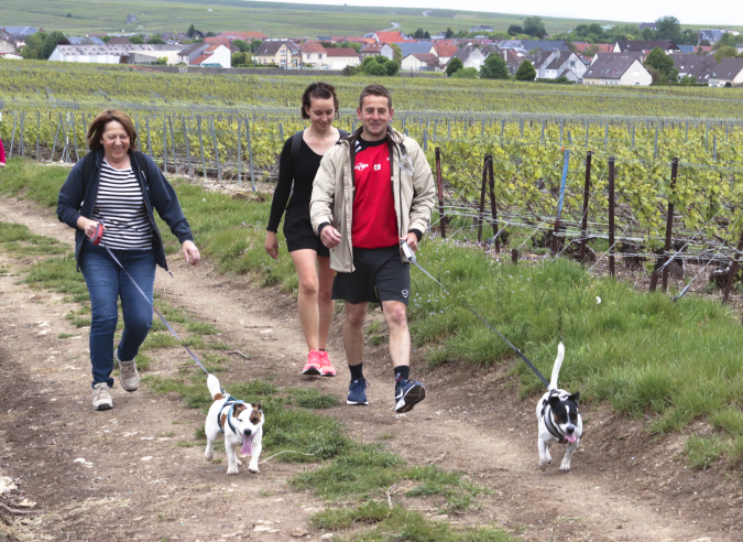 Randonner avec votre chien sans laisse en forêt au printemps ? Vous êtes passible d’amende  