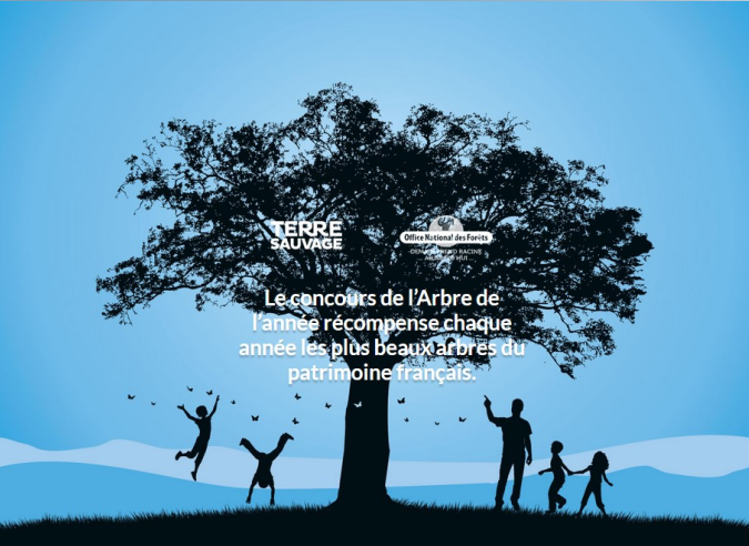Participez au concours “ L’Arbre de l’année 2022” ! Participez au concours “ L’Arbre de l’année 2022” !