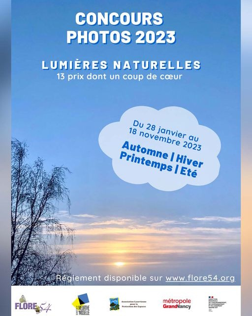 concours photo