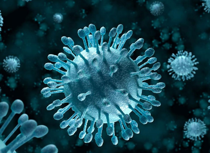 Coronavirus : les foires aux questions (FAQ) officielles Coronavirus : les foires aux questions (FAQ) officielles