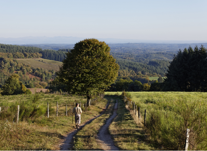 Corrèze: Un sentier réhabilité grâce aux dons 