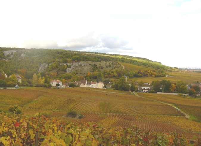 Le sentier des Vignes au pays du Crémant de Bourgogne