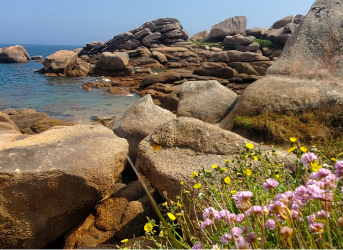 Itinérance sur le GR® 34 au Pays du Trégor et sur la côte de Granit Rose. 