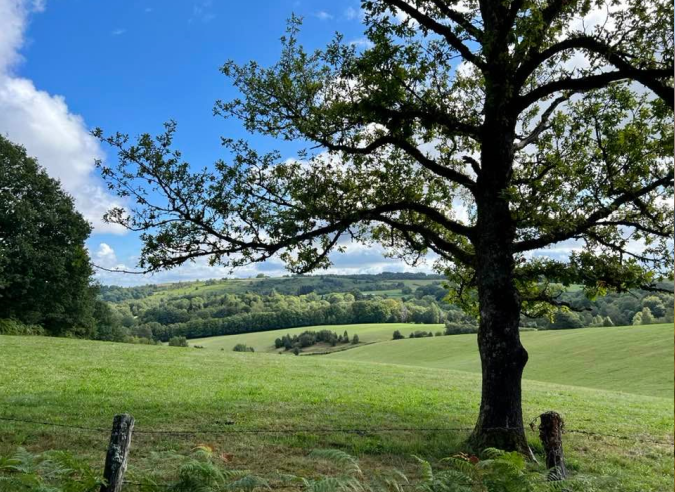 Rouverture d’un tronçon de la Via Agrippa dans la Creuse Rouverture d’un tronçon de la Via Agrippa dans la Creuse