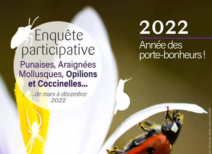 Enquête sur les coccinelles et autres petites bêtes Enquête sur les coccinelles et autres petites bêtes