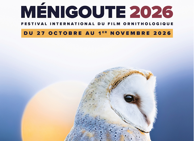 42ᵉ Festival international du film ornithologique de Ménigoute - 27 octobre - 1ᵉʳ novembre 