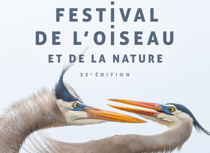 Festival de l'oiseau et de la nature - Baie de Somme - 20 – 28 avril 2024 