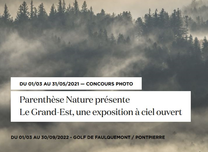 Festival Parenthèse Nature : l'image pour sensibiliser à la préservation de la biodiversité