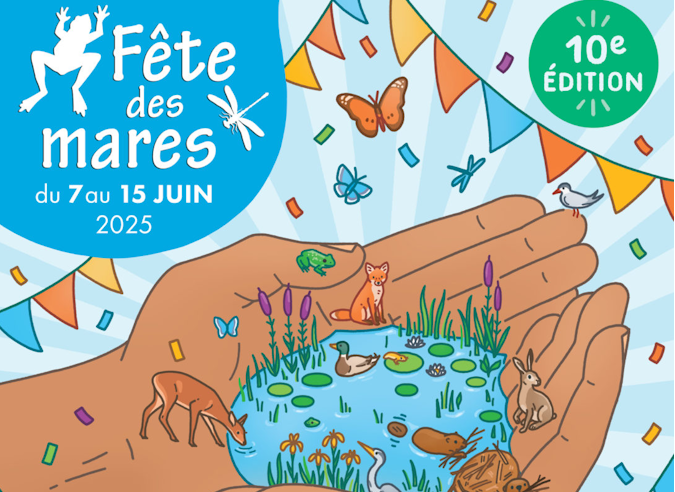 Fête des Mares : la protection des zones humides – 7 – 15 juin 2025 